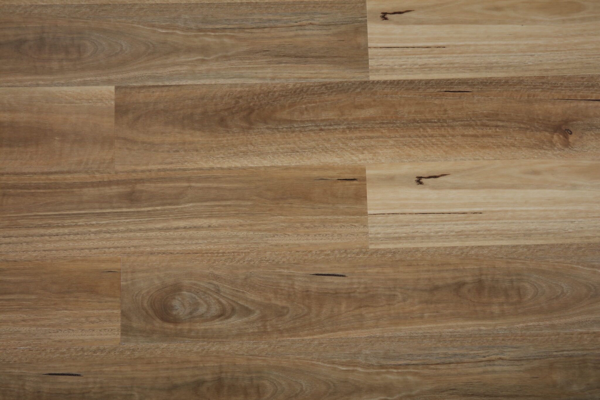 Spotted Gum