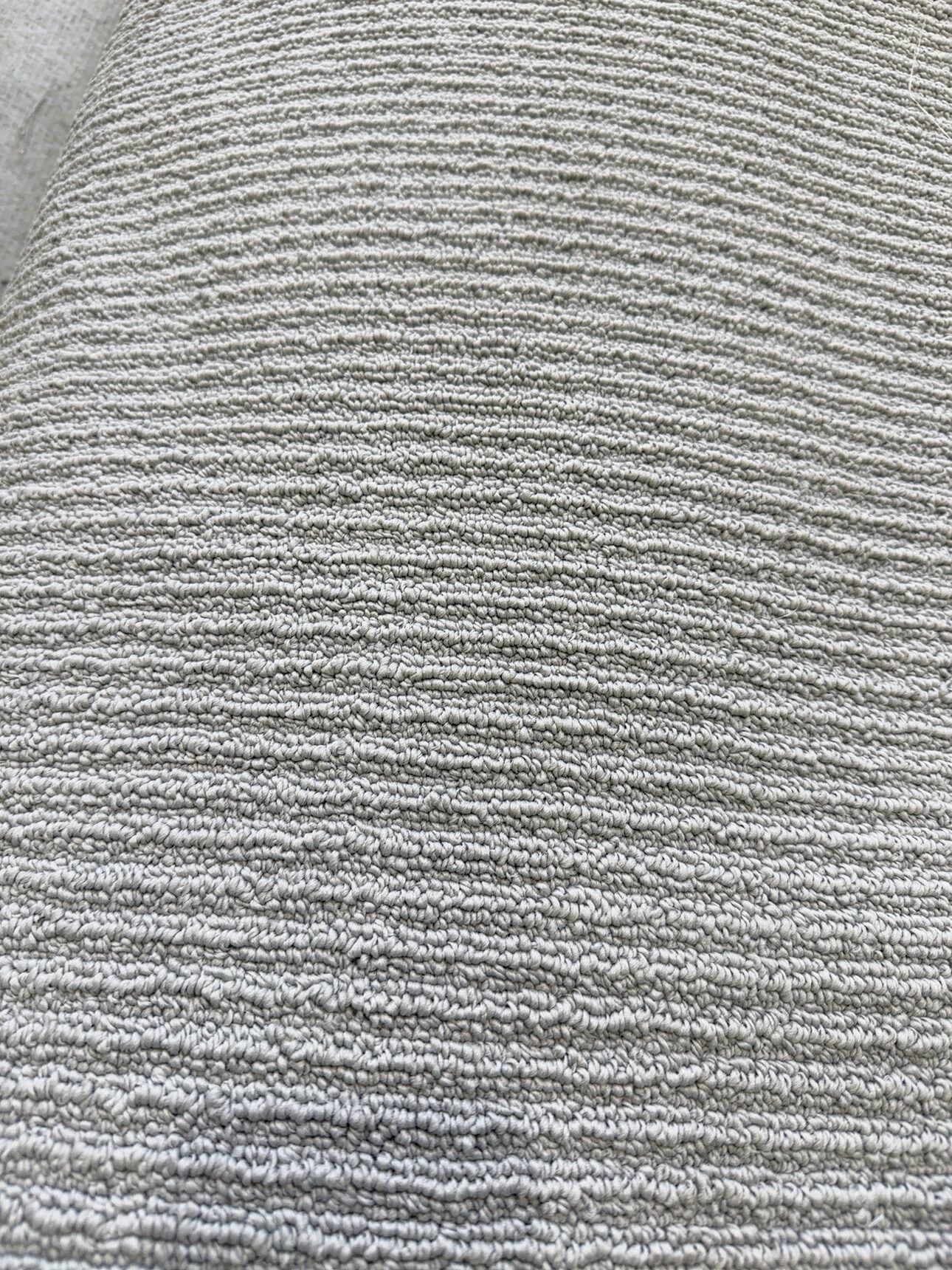 BEASSCS - Sisaloom Silver Cloud 2nds BEASSCS - Sisaloom Silver Cloud 2nds