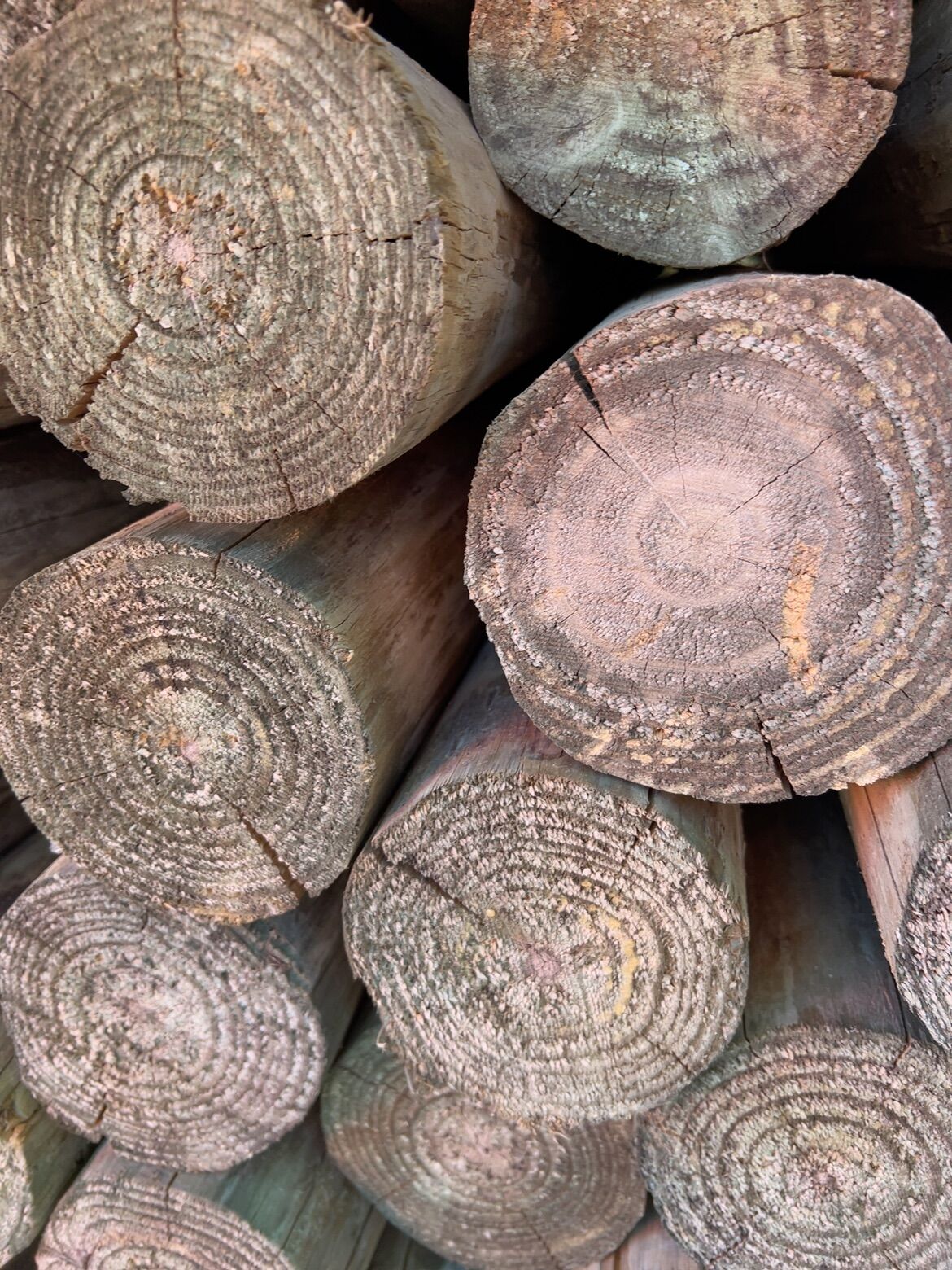 100-125MM TREATED PINE POLES 50/2.1 100-125MM TREATED PINE POLES 50/2.1