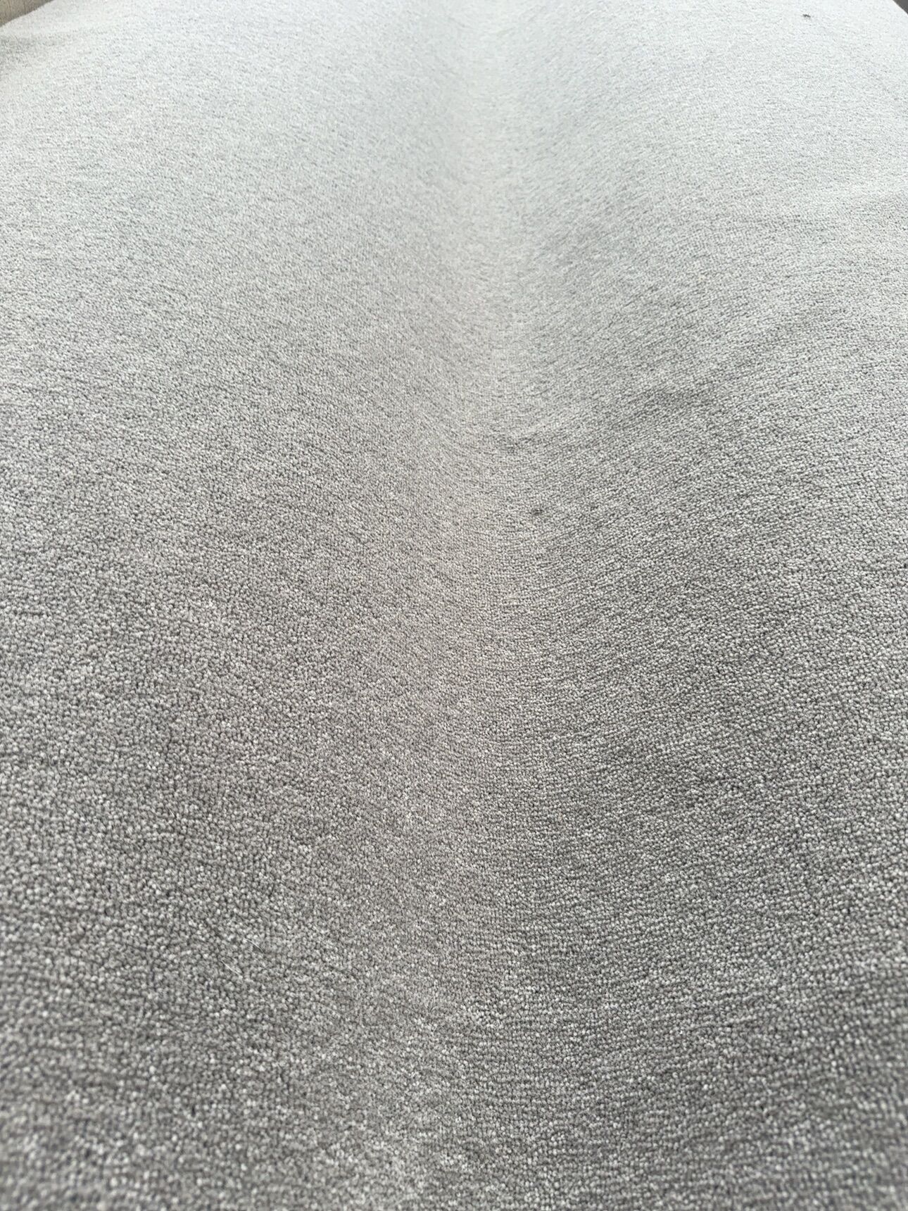 Millicent Carpet Eagle 2nds Millicent Carpet Eagle 2nds