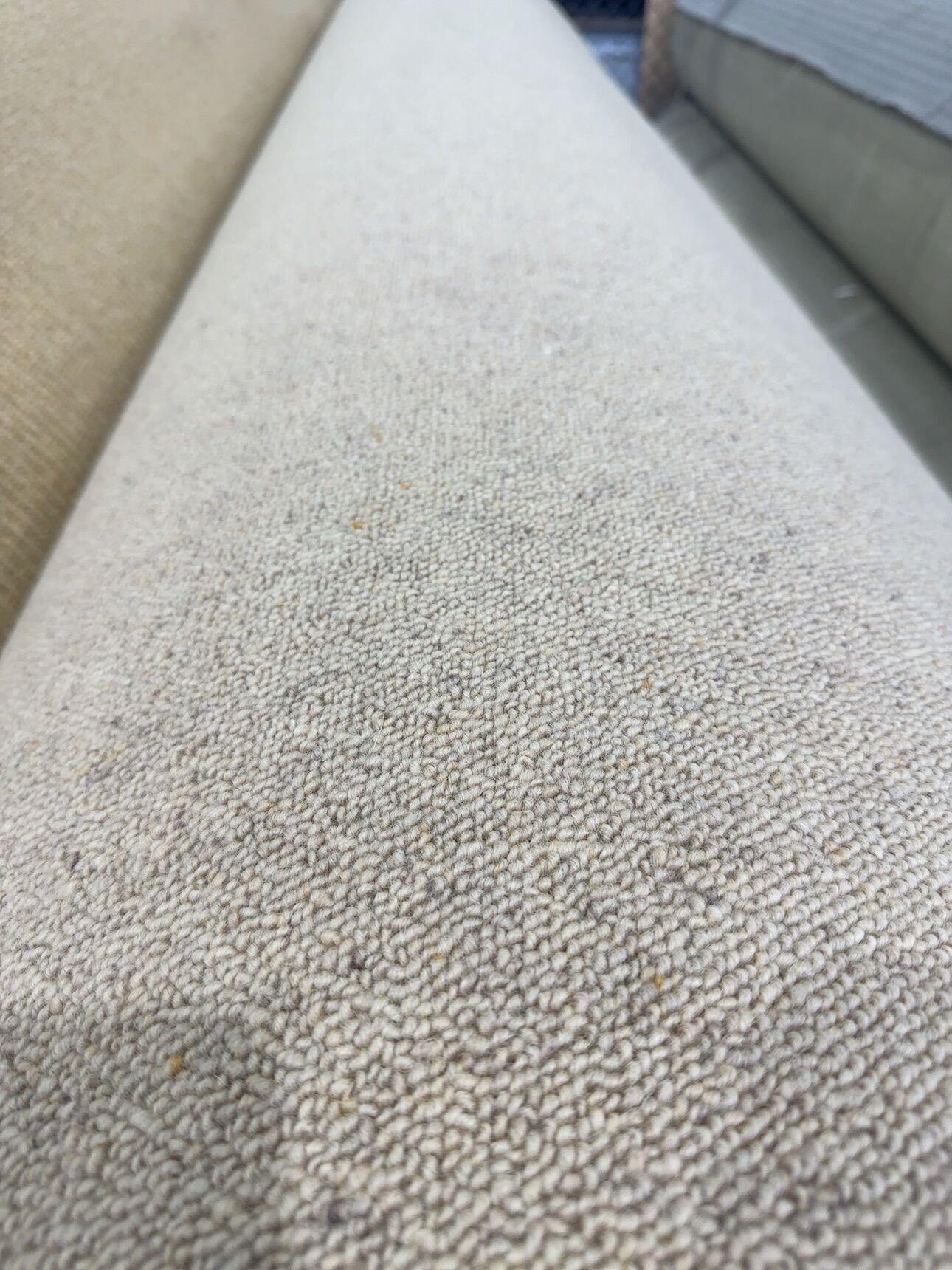 Bremworth Wainamu 322/ 2nds Bremworth Wainamu 322/ 2nds