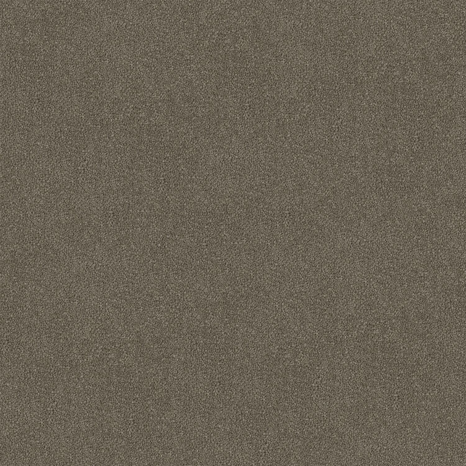 Suede Stipple 182