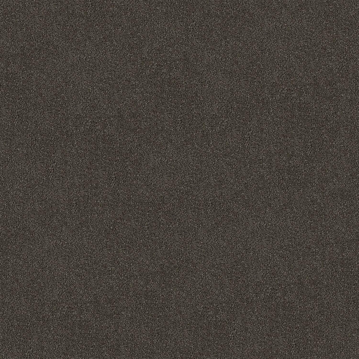 Saddle Stipple 195