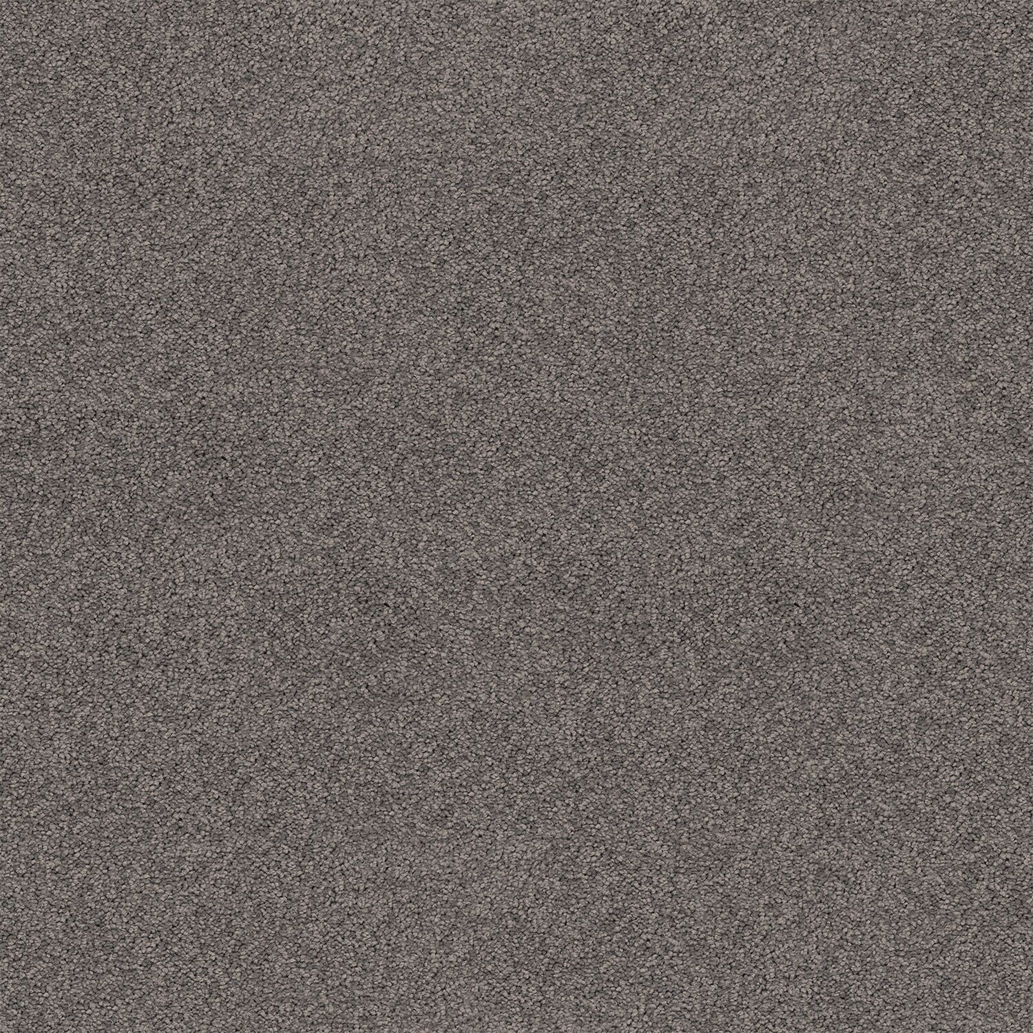 Redwood Stipple 590