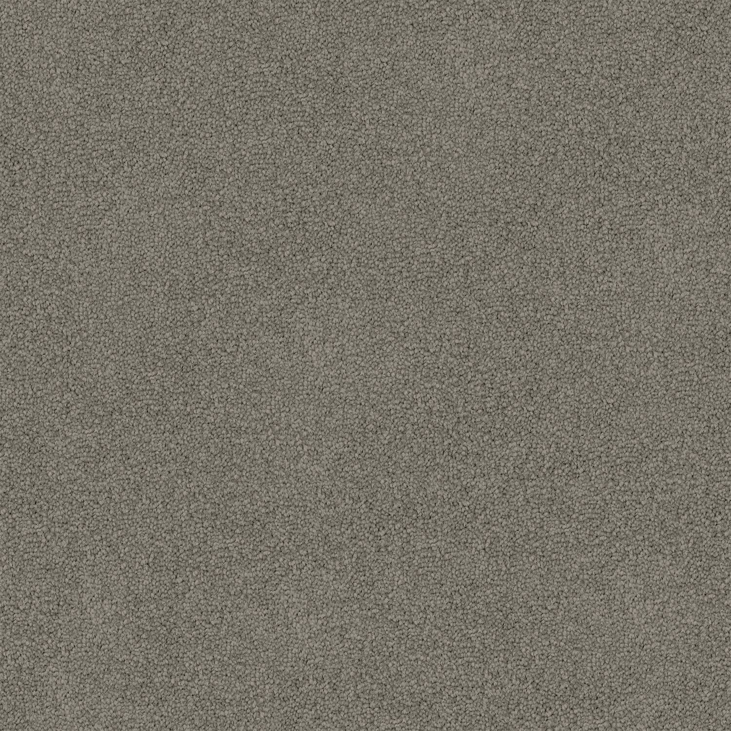Arctic Grey 765 Arctic Grey 765