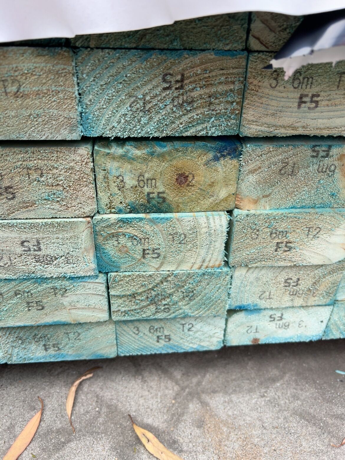 90X45 T2 BLUE F5 PINE-96/3.6 90X45 T2 BLUE F5 PINE-96/3.6