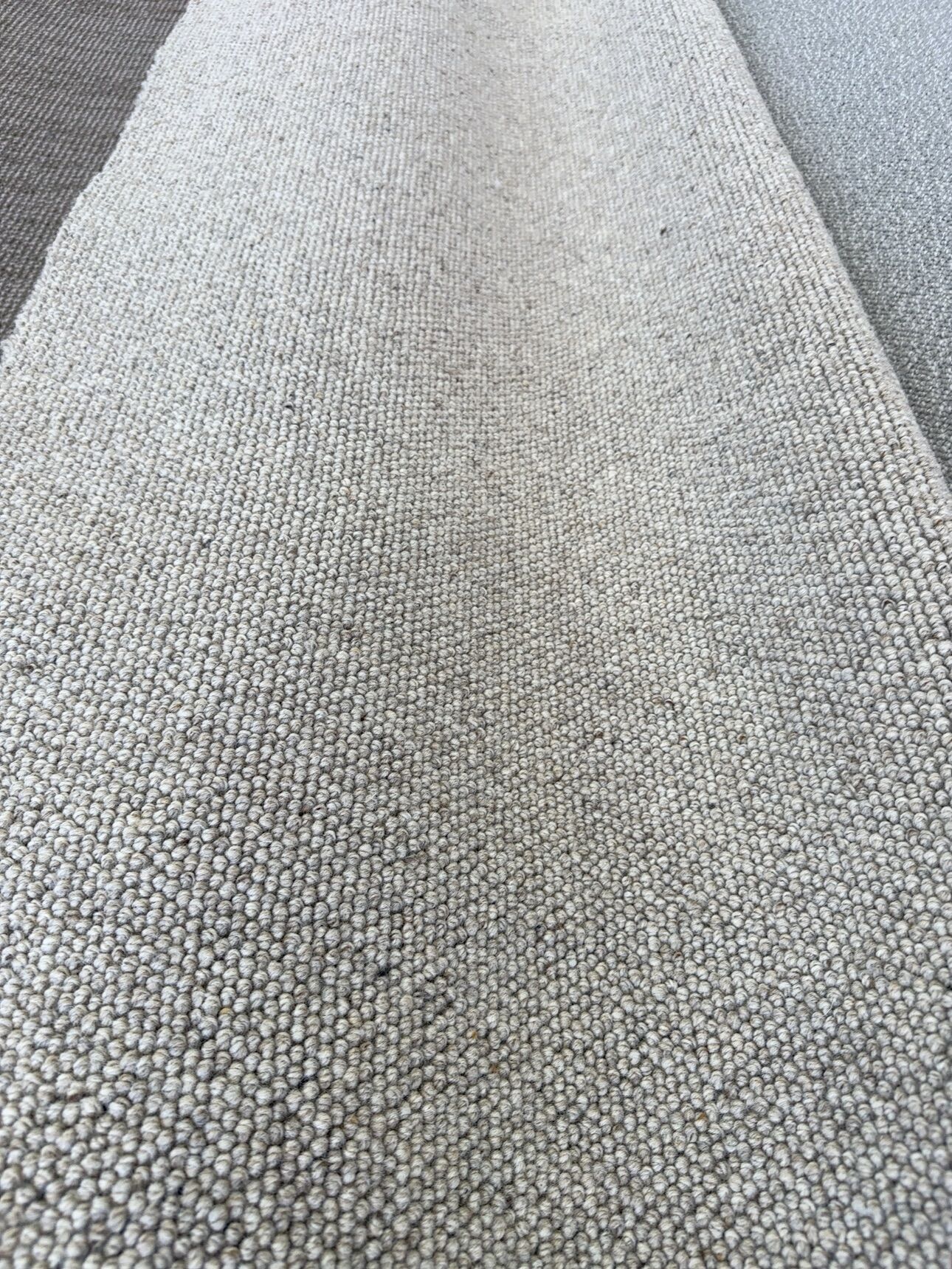 VC240133S - Coreen Spelt 2nds VC240133S - Coreen Spelt 2nds