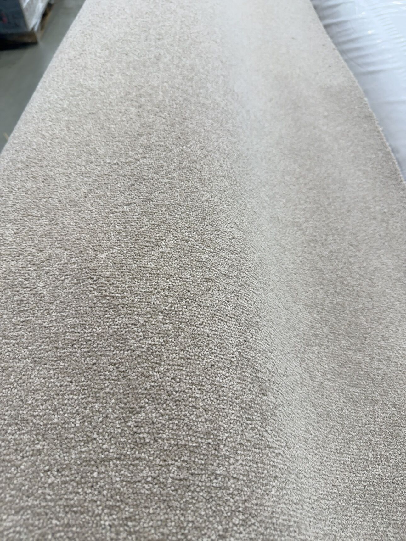 Bremworth Castilla 342/ 2nds Bremworth Castilla 342/ 2nds