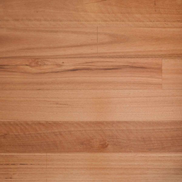 Timber  Spotted Gum