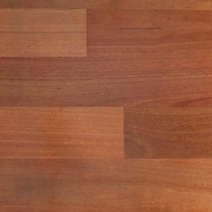 Timber  Spotted Gum