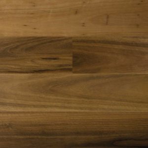 Timber Spotted Gum Gloss