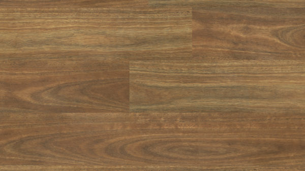 AIRLY - 555 SPOTTED GUM