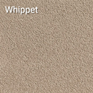 Crossley Twist - Whippet