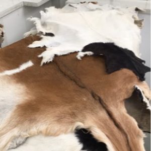 GOAT LEATHER TANNED HIDE ASSORTED COLOURS