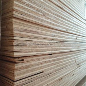 2400X1200X12MM PLYWOOD SHEETS
