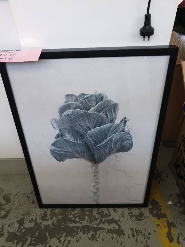 EX DISPLAY HOME FURNITURE - CABBAGE PRINT BLACK FRAME SOLD AS IS