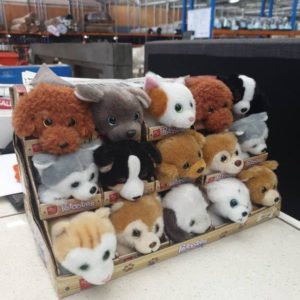 BOX OF 30 PETOOTIES PLUSH TOY (TWO SETS OF 15) RRP$240