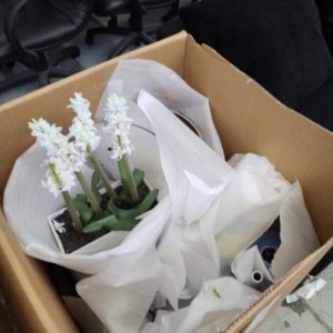 EX HIRE - BOX OF ASSORTED HOME DECOR ITEMS SOLD AS IS