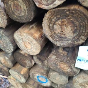 PACK OF MULTI SIZE T/PINE POLES
