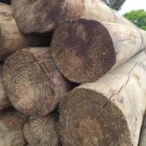 PACK OF MULTI SIZE T/PINE POLES