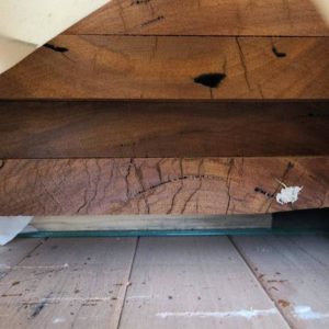 240X35 FEATURE GRADE SPOTTED GUM
