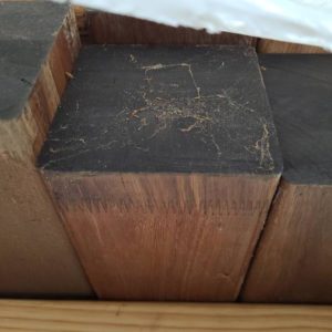 115X115 LAM F/J STANDARD NON STRUCTURAL SPOTTED GUM POSTS-9/5.4