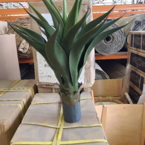BOX OF ARTIFICIAL AGAVE PLANT SOLD AS IS
