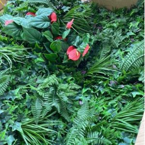 BOX OF ARTIFICIAL PLANTS - FLAMING LILY WALL