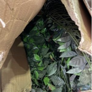 BOX OF ARTIFICIAL PLANTS - LARGE BOX OF PLANT WALLSOLD AS IS