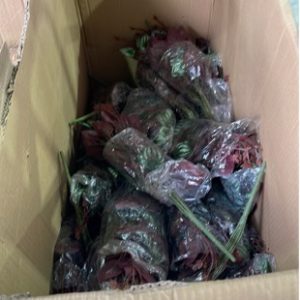 BOX OF ARTIFICIAL PLANTS SOLD AS IS
