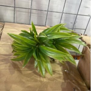 BOX OF ARTIFICIAL PLANTS - LEAVES SOLD AS IS