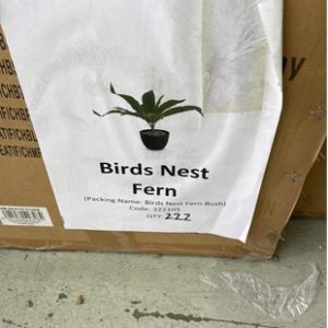 BOX OF ARTIFICIAL PLANTS - BIRD NEST FERN SOLD AS IS
