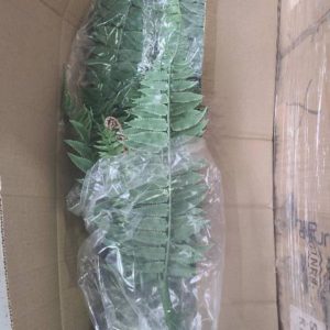 BOX OF ARTIFICIAL PLANTS - FERN SOLD AS IS