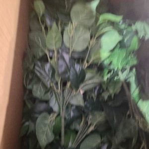 BOX OF ARTIFICIAL PLANTS - PHILODENDREN LEAVES