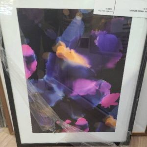 EX-HIRE FRAMED ARTWORK SOLD AS IS