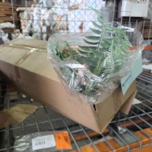 EX-HIRE BOX OF ARTIFICIAL FERNS SOLD AS IS