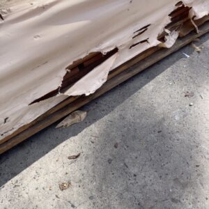 135X19 FEATURE GRADE SPOTTED GUM DECKING (THIS PACK IS WEATHERED) SOLD AS IS