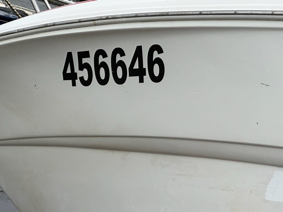 Marine Salvage Insurance Claim - MV Mustang Sally