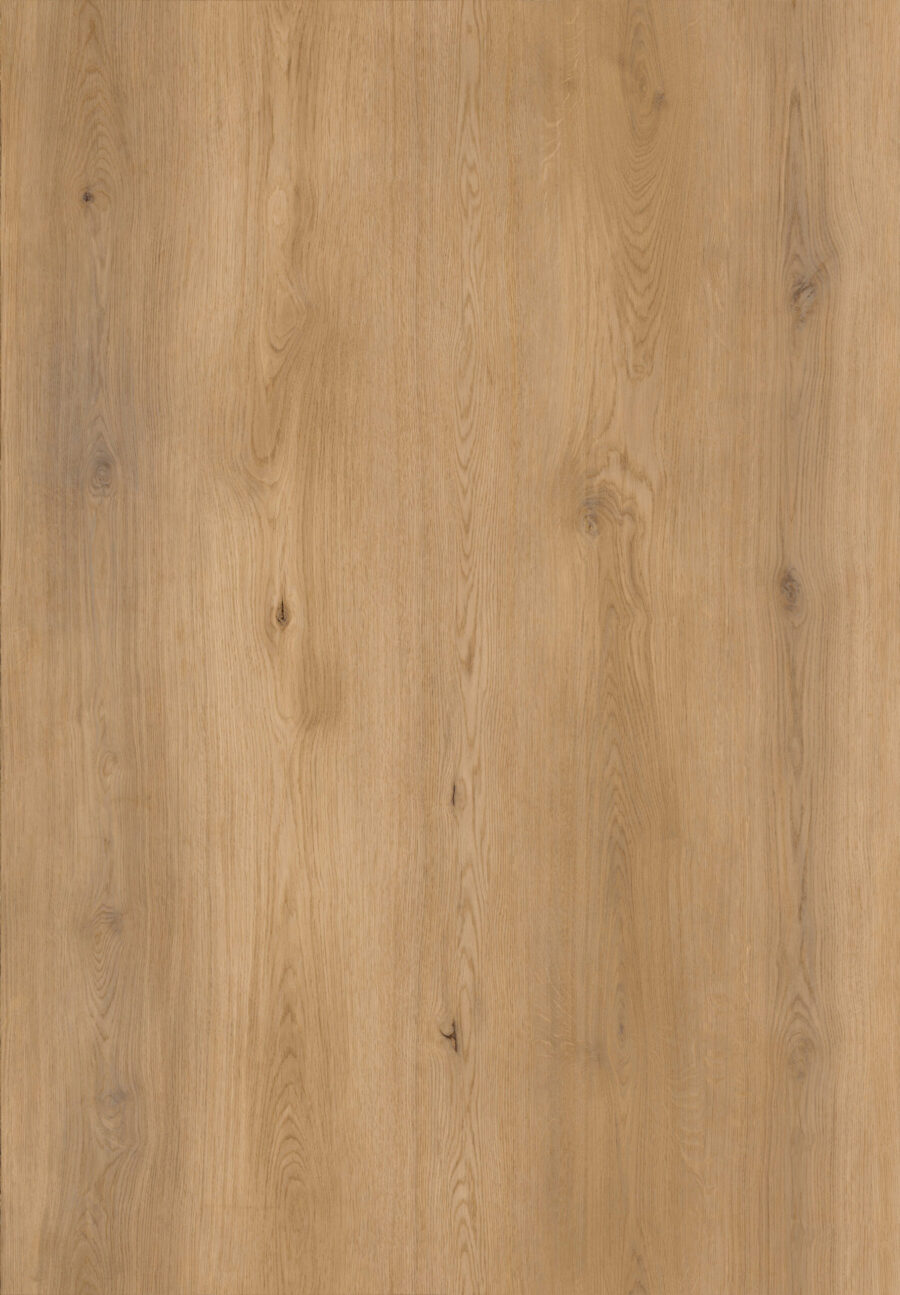 Sable Oak 300