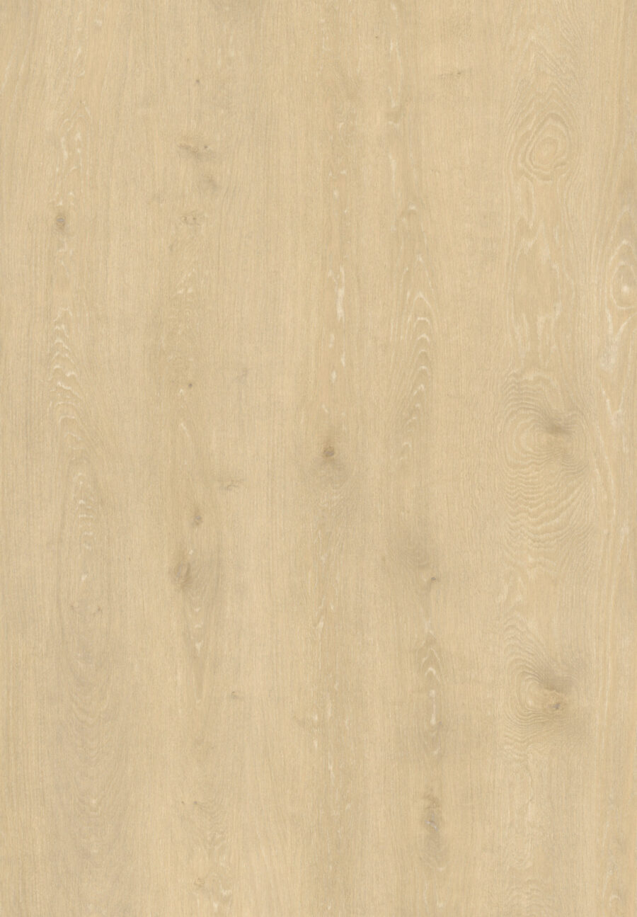 Cornsilk 500