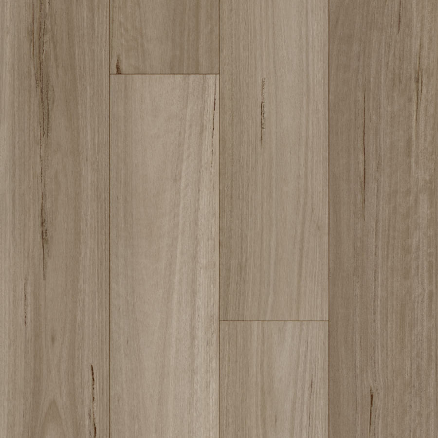 Lime Washed Blackbutt