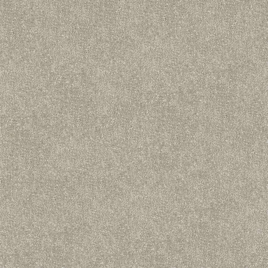 Quartz 505