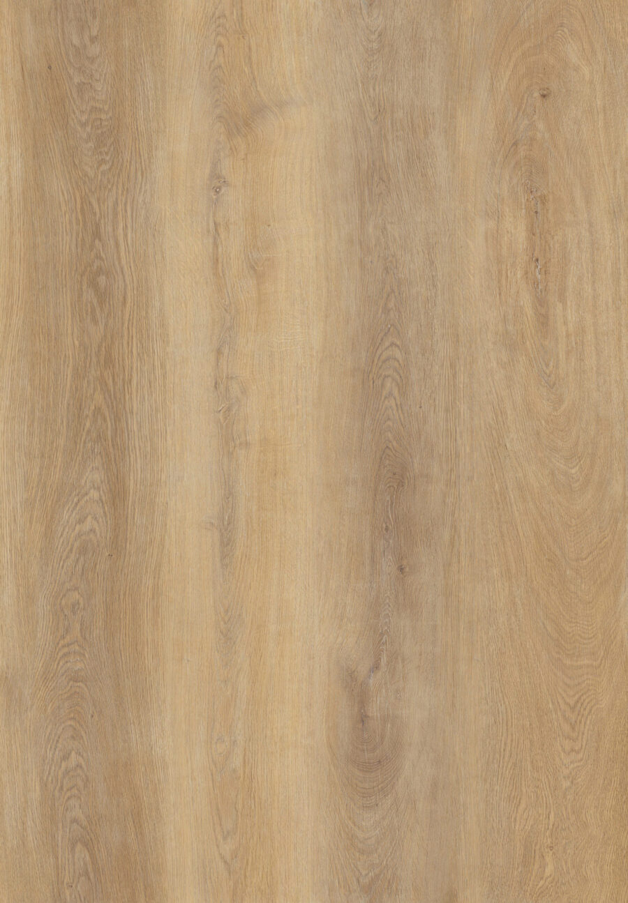Brass Oak 520