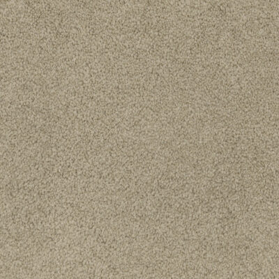 Latte 525