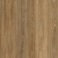 Spotted Gum Coastal 530