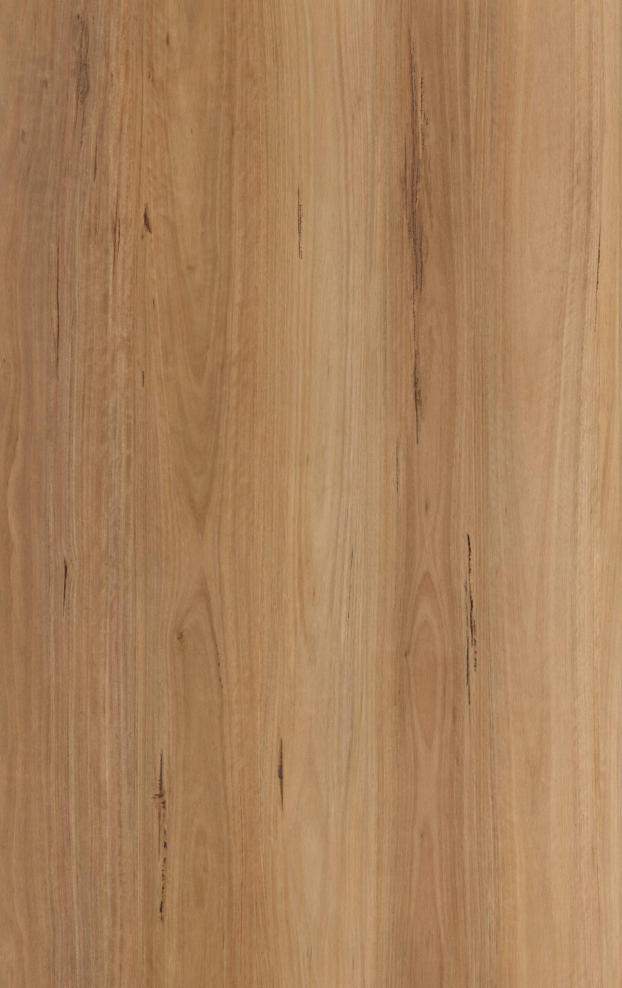Blackbutt Elegant 535