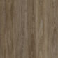 Spotted Gum Riverbank 540