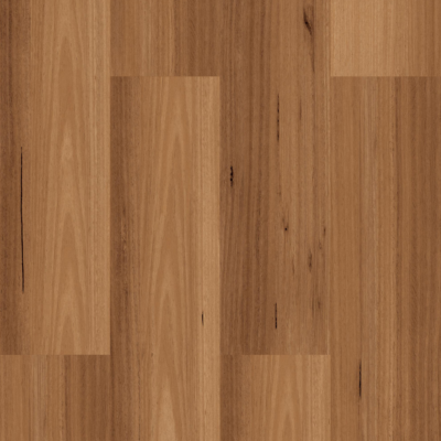 Blackbutt