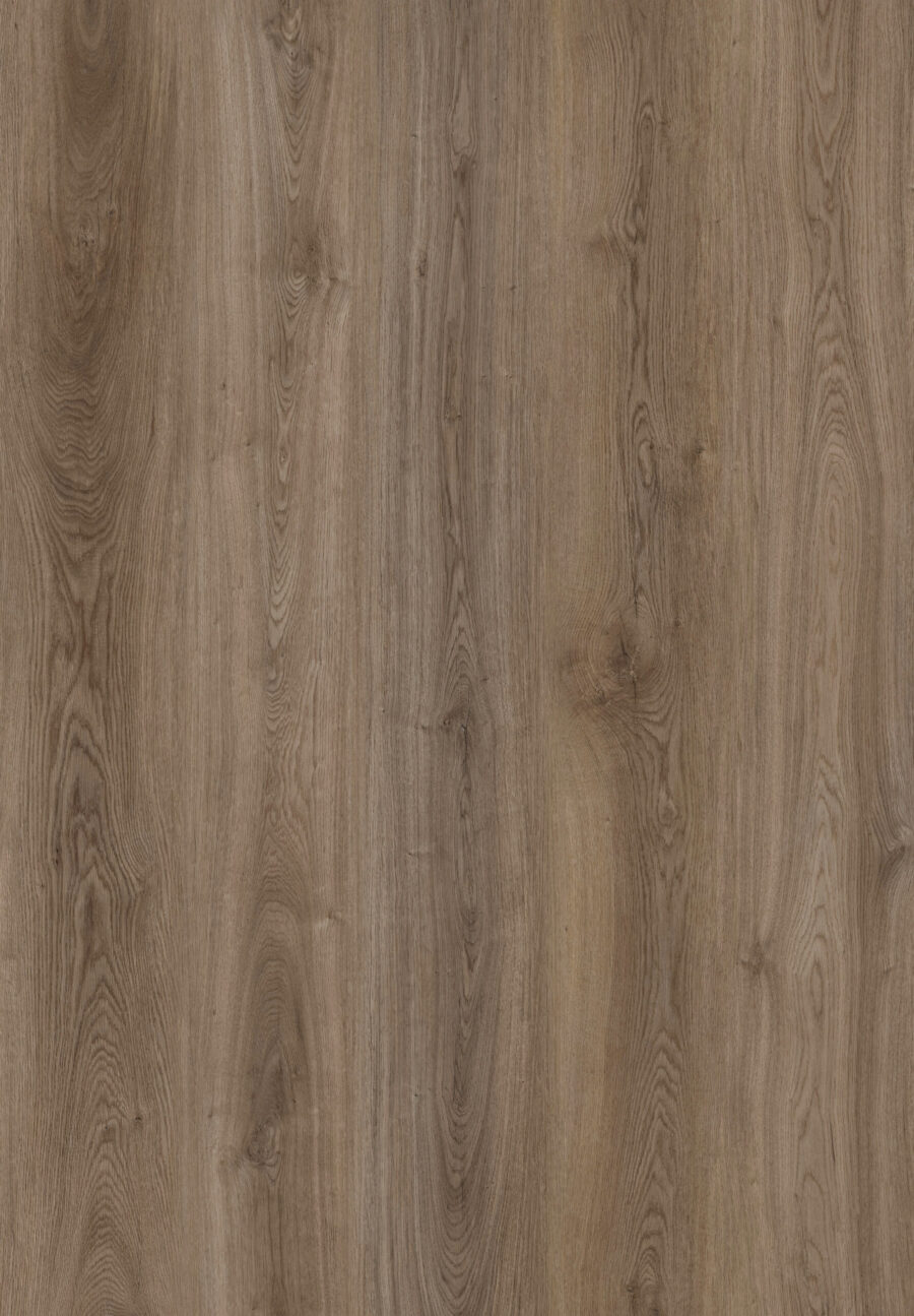 Fallow Oak 580