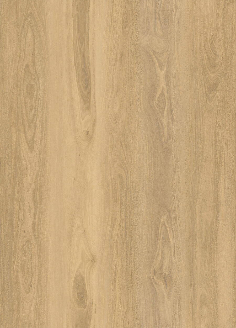 Alpine Gum 525